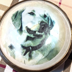Vintage Bridle Brosche / Zaumzeug für einen gelben Labrador - 1950er Jahre