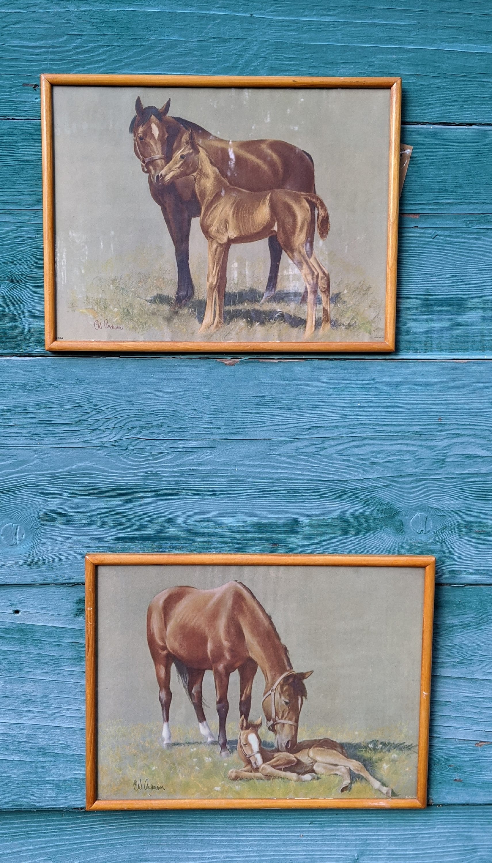 Vintage Framed Horse Prints C.W. Anderson Thoroughbred Mares & Foals 1950s