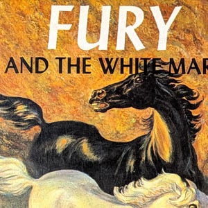 Könnte beinhalten: Buchcover mit dem Titel "FURY AND THE WHITE MARE". Die Illustration zeigt ein schwarzes Pferd mit fließender Mähne und ein weißes Pferd darunter, vor einem strukturierten orange-braunen Hintergrund.