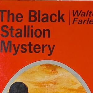 a book cover that is red with a black horse and rider on the front. The title is THE BLACK STALLION MYSTERY BY WALTER FARLEY