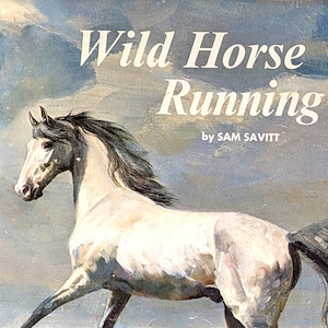 Könnte beinhalten: Buchcover mit einem galoppierenden Pferd mit hellgrauem Fell und dunkler Mähne und Schweif. Der Titel "Wild Horse Running" ist weiß, darunter der Name des Autors, Sam Savitt. Der Hintergrund hat ein wolkenartiges, gemaltes Aussehen.