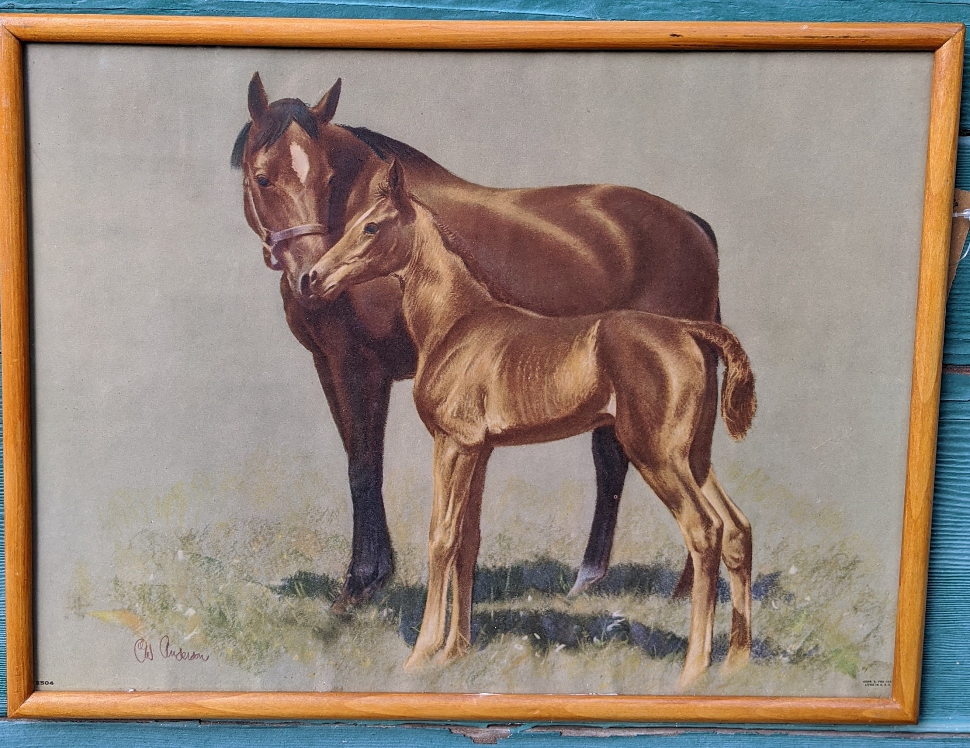 Vintage Horse Prints C.W. Anderson Thoroughbred Mares & Foals Etsy