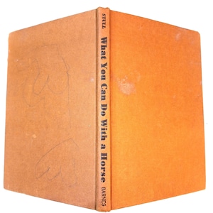 Vintage Book “What You Can Do With A Horse” By Sally Stull – 1977