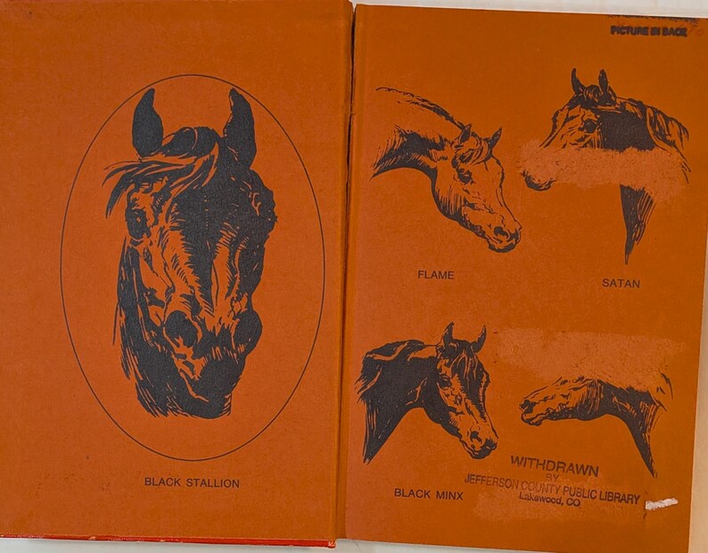 Inside cover page of a book that is orange with black illustrations of horses. The left side features a horse head in an oval frame with the text "BLACK STALLION." The right side shows horse heads labeled "FLAME," "SATAN," and "BLACK MINX."