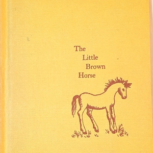 Vintage Book “The Little Brown Horse” by Margaret G Otto – 1959