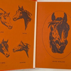 Inside cover page in red with black sketches of horses. On the right is the Black Stallion, on the left is Flame, Satan, Black Minx and Bonfire.