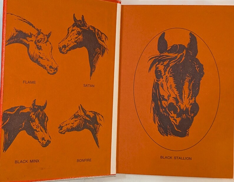 Inside cover page in red with black sketches of horses. On the right is the Black Stallion, on the left is Flame, Satan, Black Minx and Bonfire.