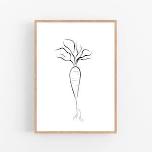 May include: A black and white line drawing of a carrot with leaves and roots.