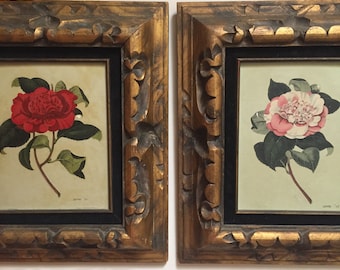 1942 Painted Botanicals, Pair Camellia Oil Paintings, Gilded Frames, Vintage Botanical Paintings, English Cottage, Country Cottage, Garden
