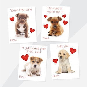 San Valentín de cachorro editable, San Valentín imprimible para perros, San Valentín en el aula para niños, Tarjeta de San Valentín con foto de cachorro, San Valentín escolar imprimible,