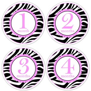Sofortiger Download - Baby-Monat zu Monat Aufkleber, Zebra-Monats-Geburtstags-Aufkleber für Baby, Zebra-Druck-Foto-Prop-Geburtstags-Aufkleber