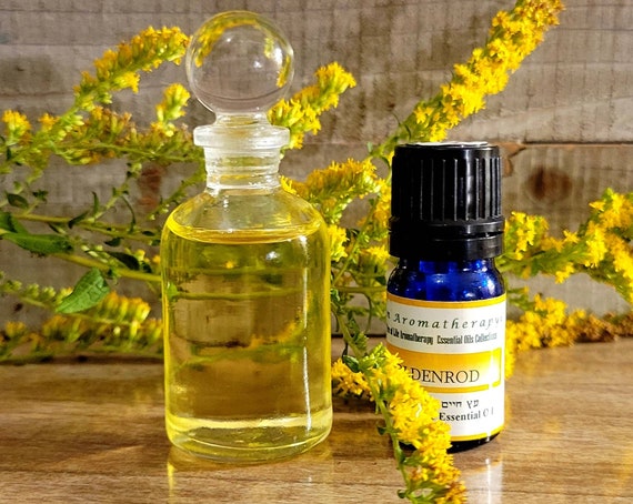 Goldenrod essential oil discount