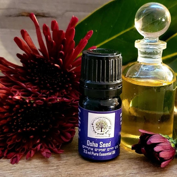 Osha Seed High Quality Essential Oil 2.5ml Organic Osha Ligusticum porteri -Extremely Rare Artisan Distilled from Seed Pods