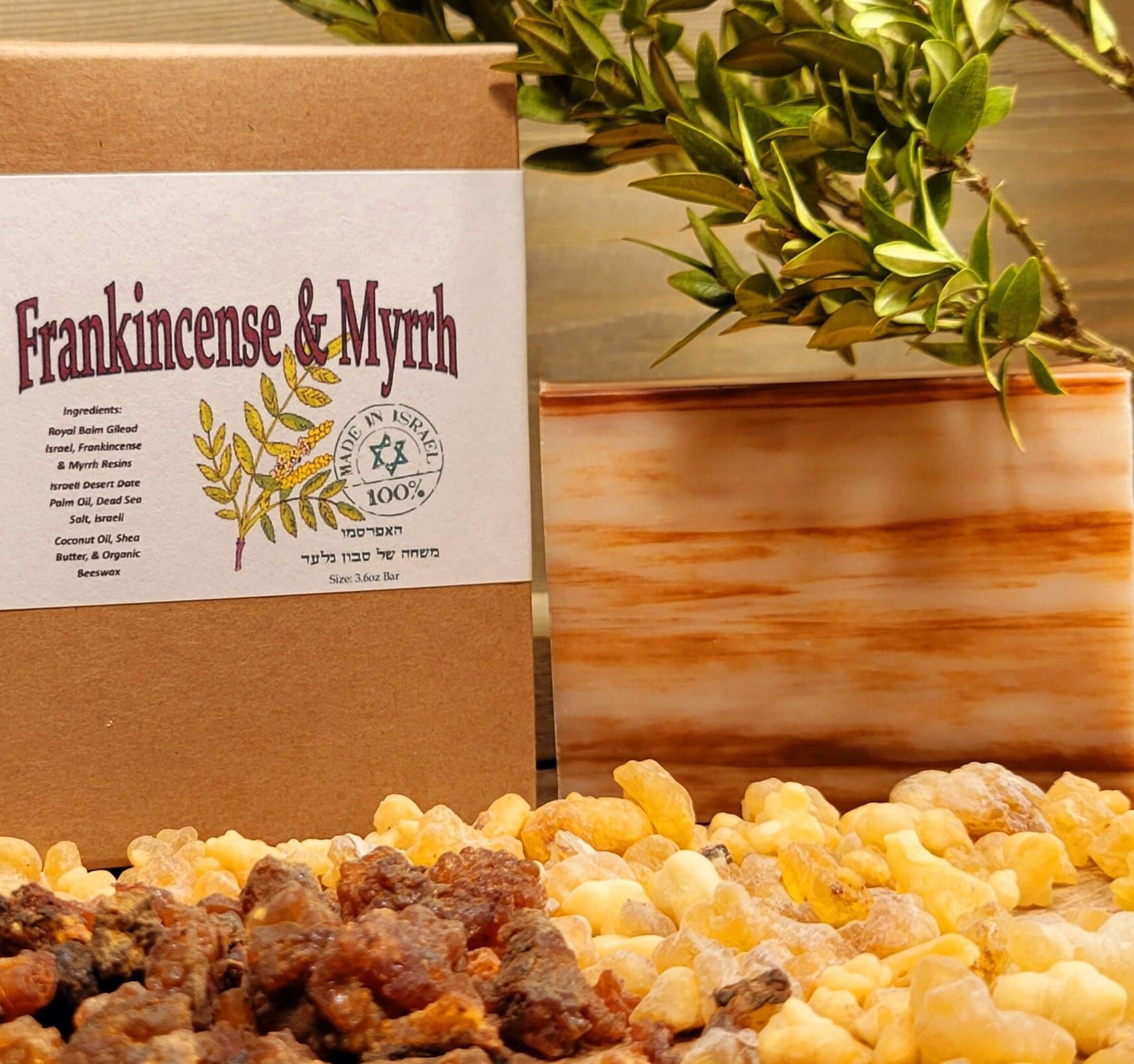 Israel Bible Frankincense and Myrrh Soap Made From Holy Land Charged Resins  and Holy Land Ingredients. 