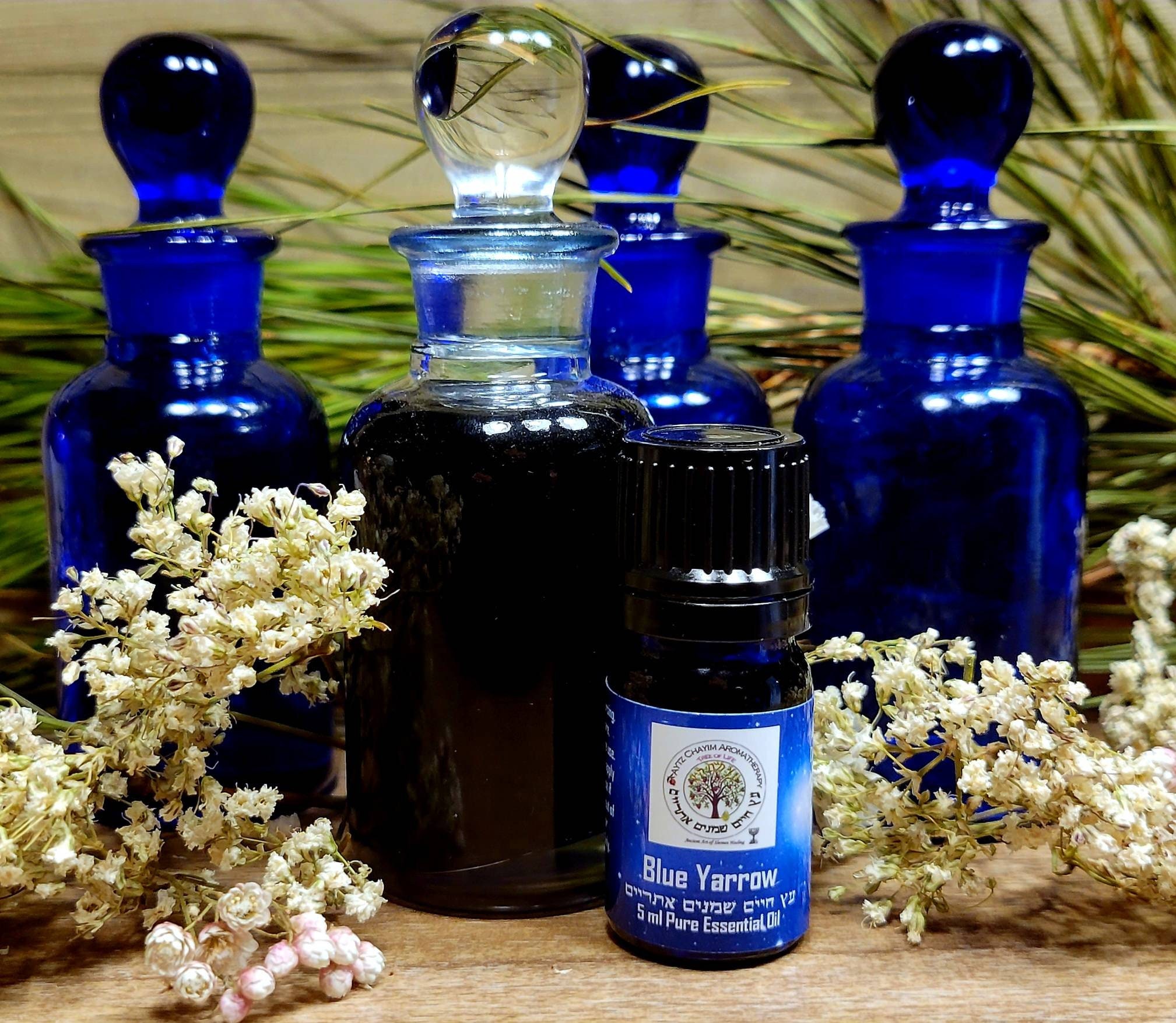 Blue Yarrow Essential Oil 5ml Organic Supply Limited From Israel