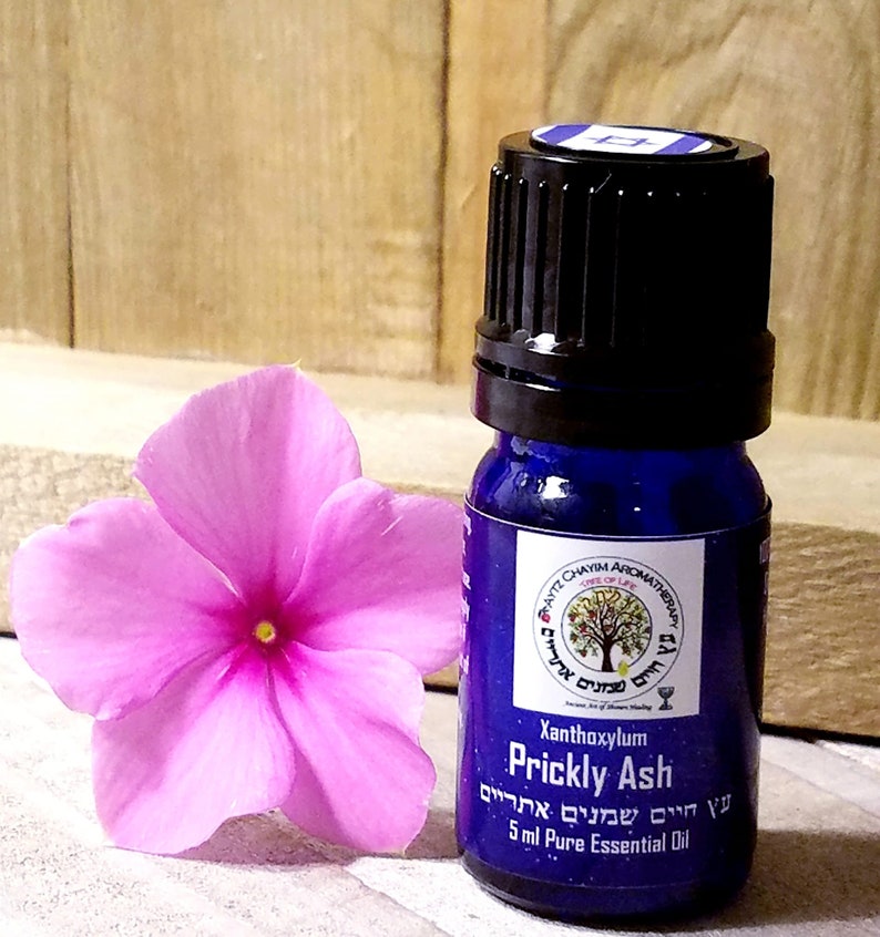 Prickly Ash Essential Oil 5ml xanthoxylum Etsy