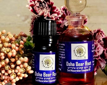 Osha Bear Root High Quality Natural Maceration Essential Oil 5ml or 10ml