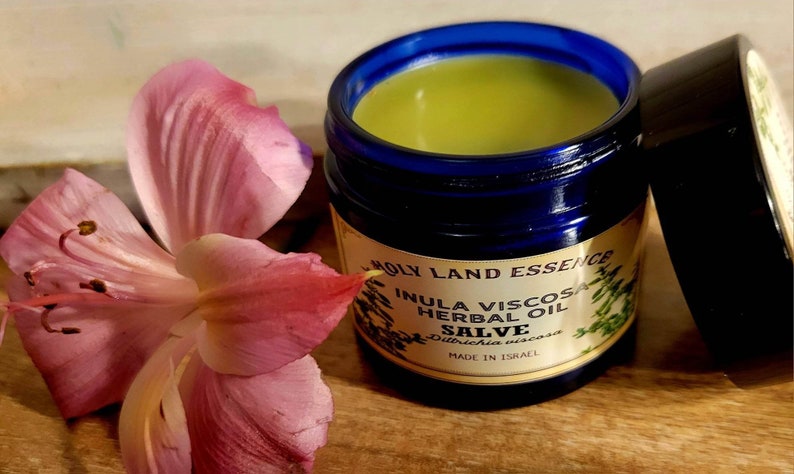 Inula Viscosa Balm/Salve 2oz Dittrichia viscosa is an extremely rare balm formula and ancient remedy Jobs Oil from the Land of Israel image 1