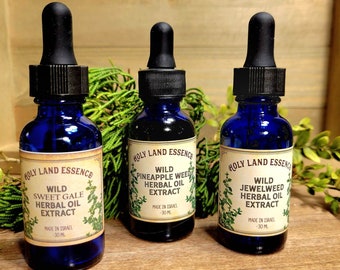 Holy Land Essence Herbal Infused Olive Oil Extract 30ml Chose your Favorite Herb from Options Below