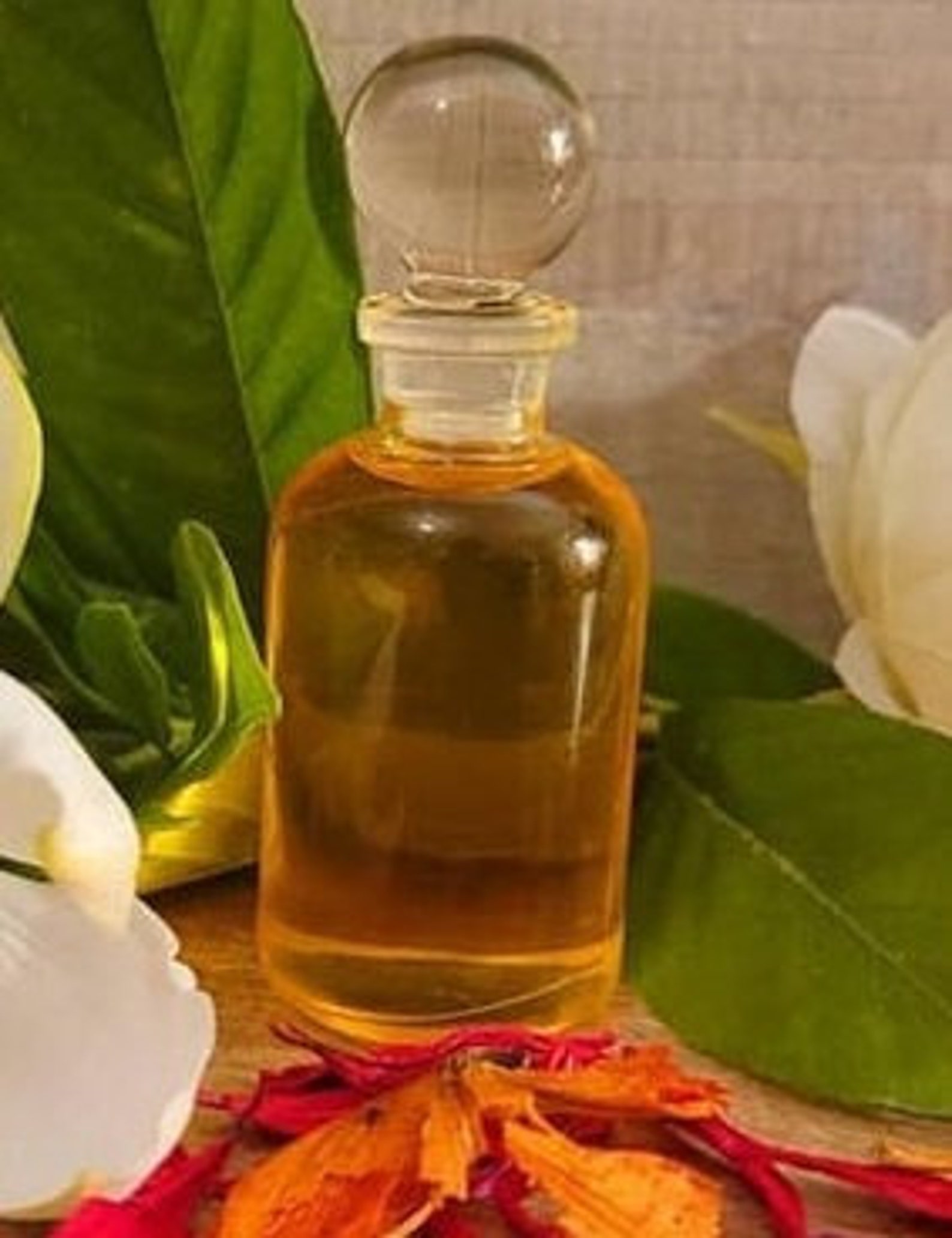 Prickly Ash Essential Oil 5ml xanthoxylum Etsy