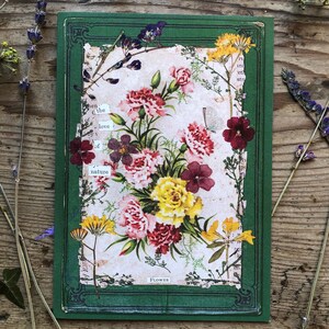 El amor por la naturaleza - Botánicos vintage - Tarjeta de collage de Stella Homewood - Postal victoriana - Tarjetas de cumpleaños vintage - Tarjetas de flores