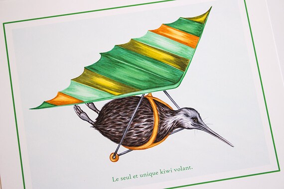 Affiche De Oiseau Kiwi Qui Vole En Deltaplane 8 X 10 Et 11 X 14
