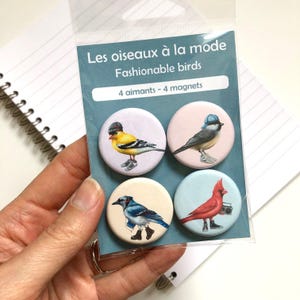 Set van 4 Noord-Amerikaanse vogelmagneten, blauwe gaai, mes, distelvink, kardinaal, Canadese vogelmagneten