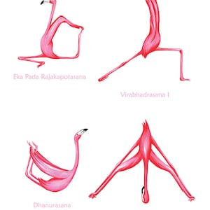 Pink Flamingo yoga pose poster with 25 asanas, 18 x 24 poster image 5