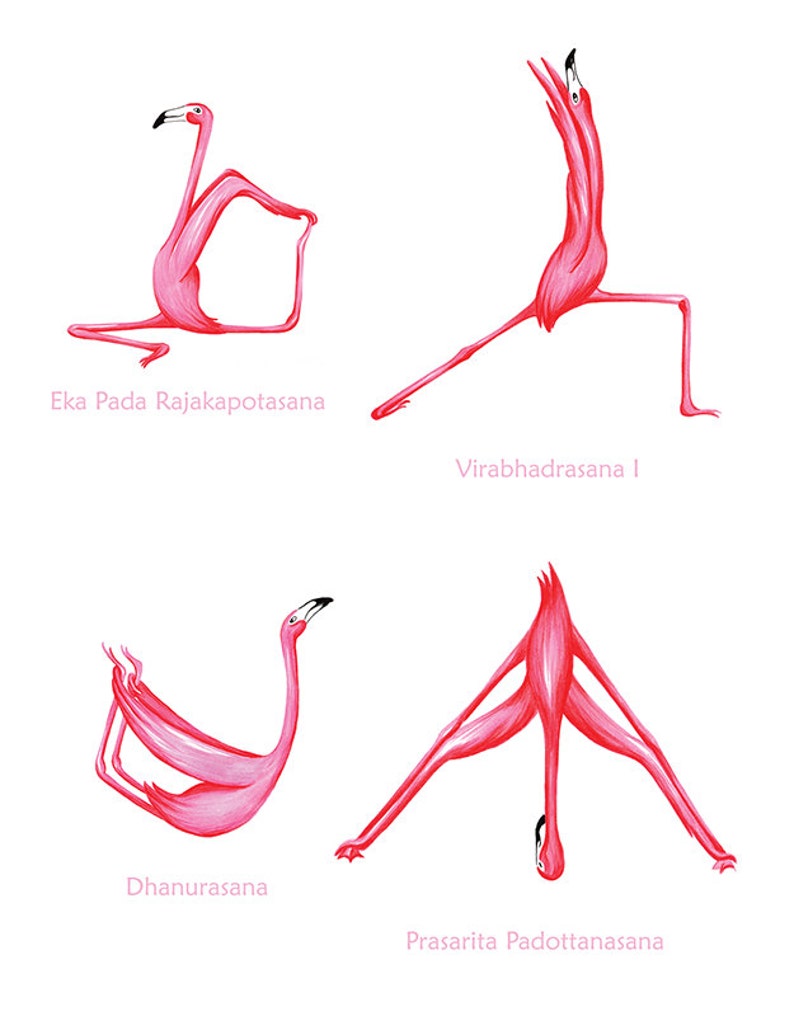 Pink Flamingo yoga pose poster with 25 asanas, 18 x 24 poster image 5