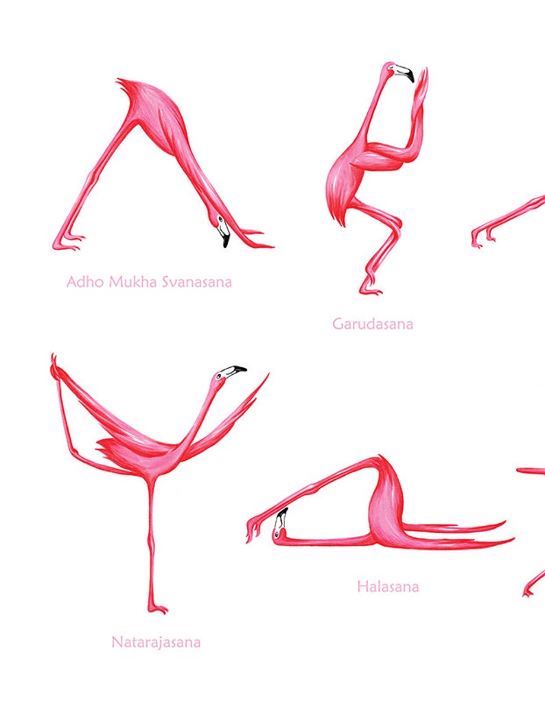 Pink Flamingo yoga pose poster with 25 asanas, 18 x 24 poster image 6