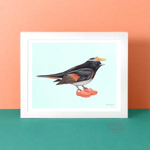 American Redstart bird with shoes and summer hat, Art Print