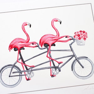 bike world flamingo
