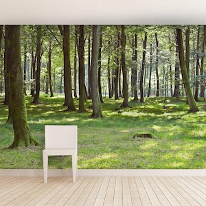 Woodland Forest Self Adhesive Wallpaper