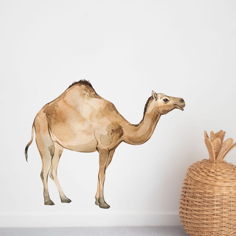 Camels Wall - Etsy UK