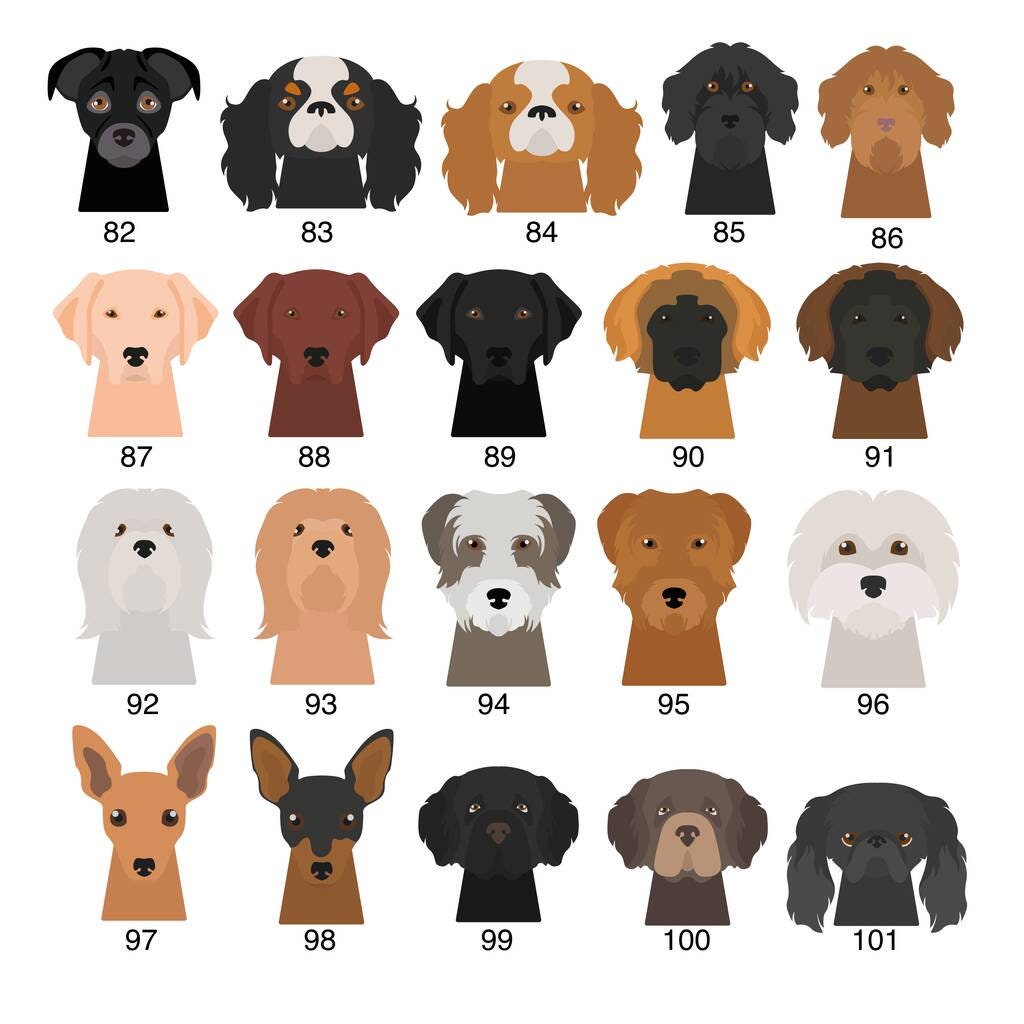 coziwow cat litter box enclosure