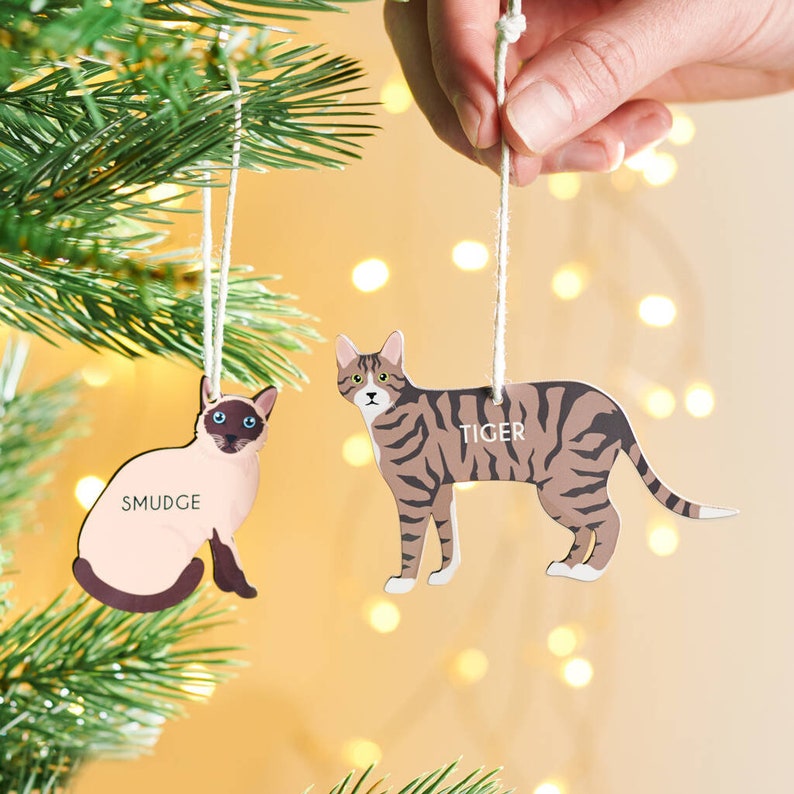 Personalised Cat Christmas Hanging Decoration 