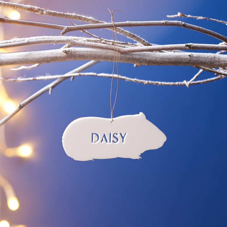 Personalised Bamboo Pet Christmas Decoration image 4