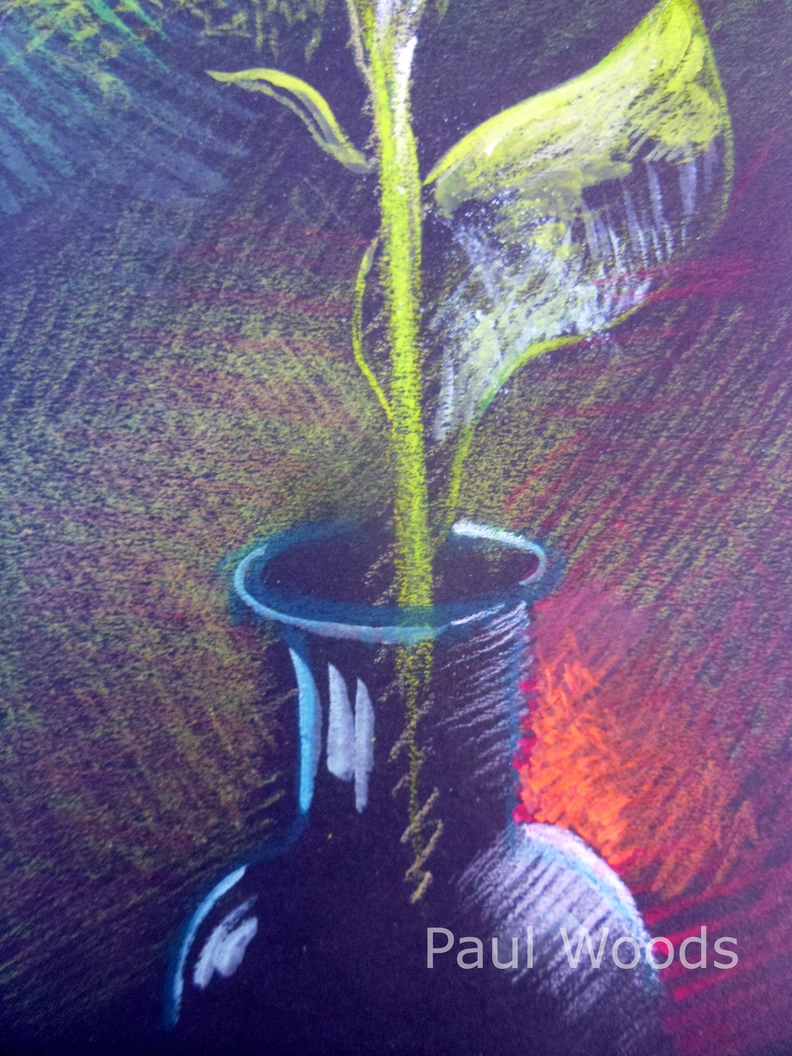 Digital Download Flower Drawing. Wall Hanging Livingroom Art Etsy