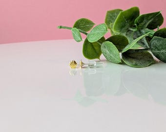 Petite Seashell Stud Earrings