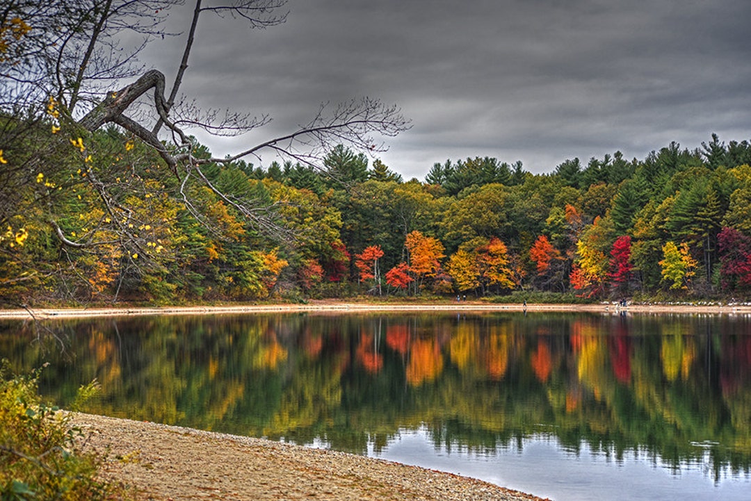 Walden Pond Foliage Concord MA Pond Photography Pond Art Etsy