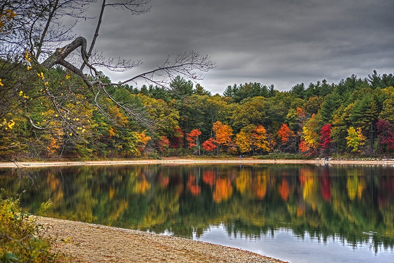 Walden Pond Foliage, Concord MA, Pond Photography, Pond Art, Pond Print, Pond Decor, New England, Autumn Photography, Autumn Art image 1