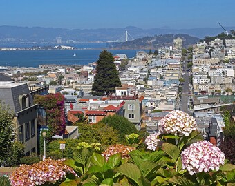 The View from Lombard Street, San Francisco Photography, San Francisco Art, San Francisco print, San Francisco Decor, San Francisco Bay