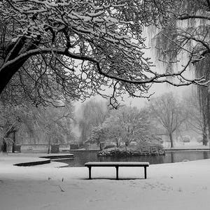 Snowstorm in the Boston Public Garden, Boston Photography, Boston Winter, Boston Art, Boston Print, Boston Picture, Winter photography