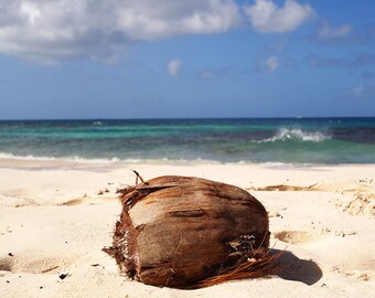 Shoal Bay in Anguilla Caribbean beach coconut, Ocean Decor, Ocean Photography, Ocean Art, Ocean Print, Caribbean Art, Caribbean Photography