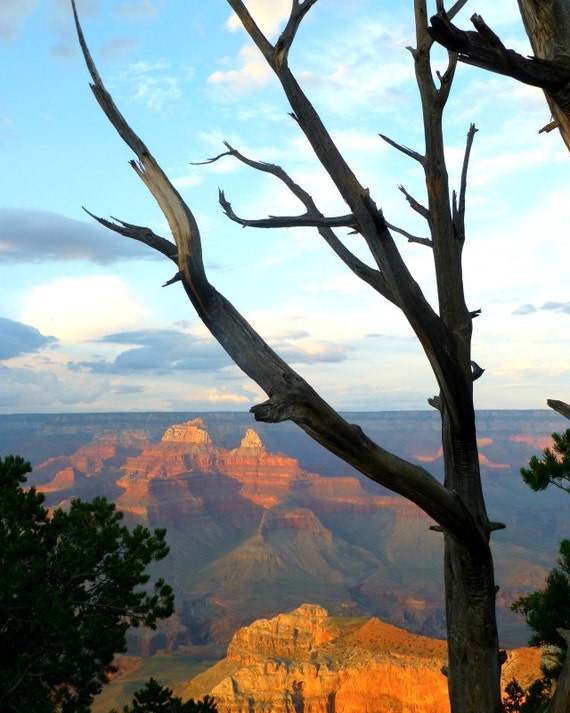 Fine Art Photography, Grand Canyon Print, Grand Canyon South Rim (8x10) Grand Canyon photo, Grand Canyon Photography, Grand Canyon Poster