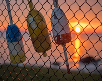 Buoys hanging on the fence at sunrise Salem Willows. Nautical Decor, ocean decor, ocean print, ocean photography, buoy photography