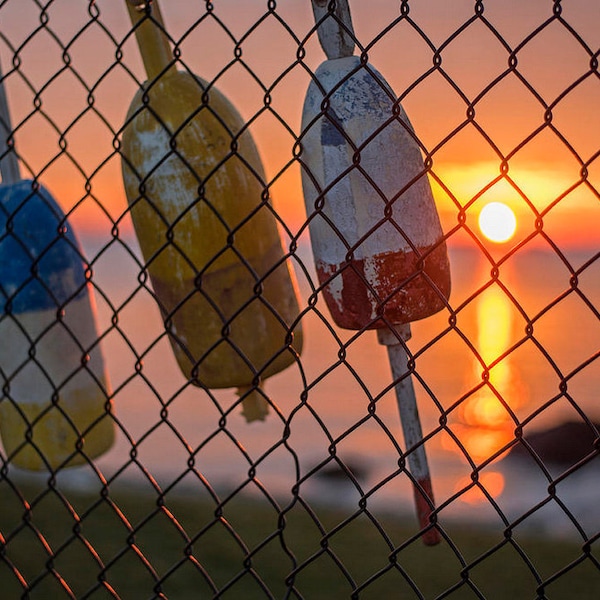 Buoys hanging on the fence at sunrise Salem Willows. Nautical Decor, ocean decor, ocean print, ocean photography, buoy photography