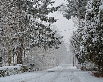 Snowy New England Street, Snow Photography, Snow Print, Snow Art, Snow decor, winter photography, winter art, winter print, winter decor