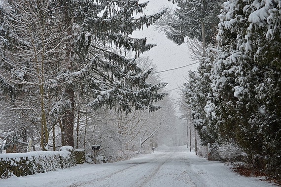 Snowy New England Street, Snow Photography, Snow Print, Snow Art, Snow decor, winter photography, winter art, winter print, winter decor