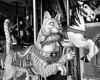 Boston Common Merry-Go-Round Cat, Carousel,  cat photography, cat art, cat print, cat decor, merry go round, carnival